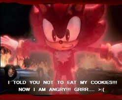Somebody ate Shadow's Cookies