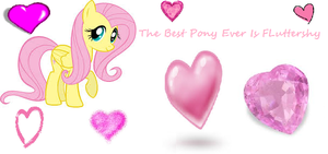 The Best Pony