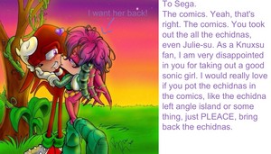  To Sega. Bring the echidnas back!