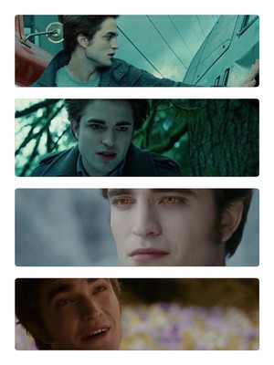 les gars de Twilight