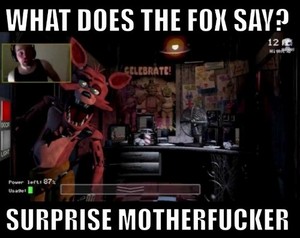 What Does The Fox Say? (^___^)/