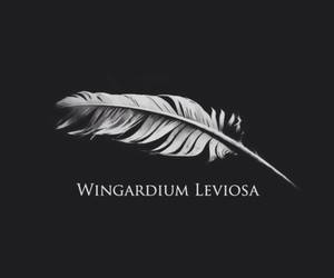 Winguardium Leviosa