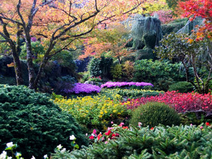  World's Most Beautiful Gardens