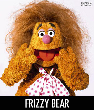  frizzy bär