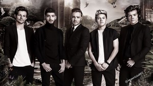  one direction,2014