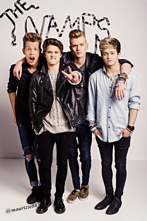  the vamps, 2014