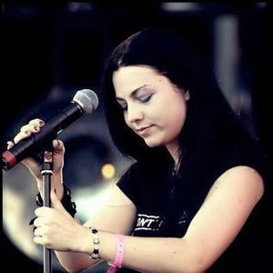  Amy Lee on the konzert