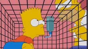 Bart in a cage