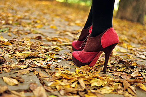 Beauty of Autumn - Autumn Photo (37714201) - Fanpop