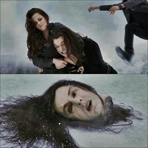  Bella and Edward kill Aro
