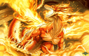  불, 화재 dragon