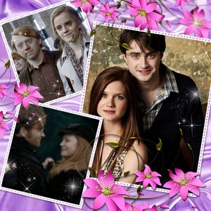  Harry Potter Couples