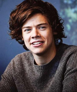  Harry Styles || Perfection ♥