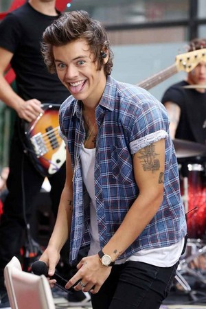 Harry Styles 💕Today Show 2013