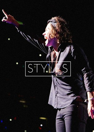  Harry Styles 🍀