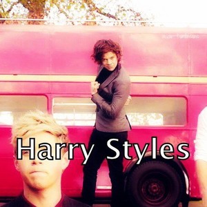  Harry Styles ♚