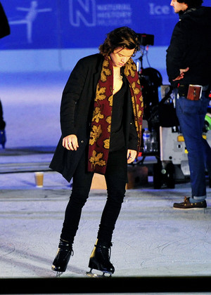  Harry on Ice