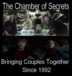  Harry potter Couples