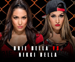  Hell in a Cell 2014 - Brie Bella vs Nikki Bella