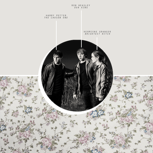  Hermione, Ron and Harry