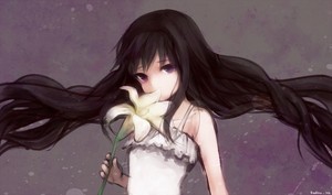  Homura's flor