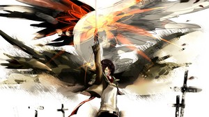  Mikasa achtergrond