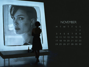  NP.COM Calendar - November