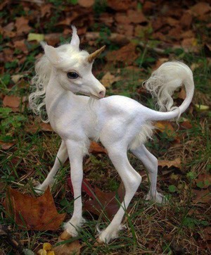  Pretty little unicorn