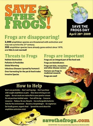 Save the Frogs