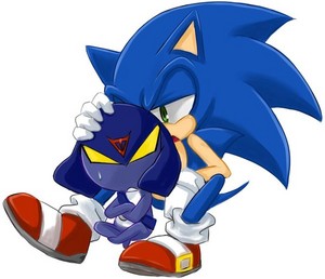  Sonic and Garuru