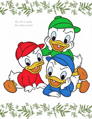 Walt Disney Images - Huey Duck, Dewey Duck & Louie Duck
