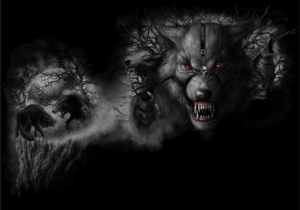 dark wolves 