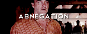  Abnegation