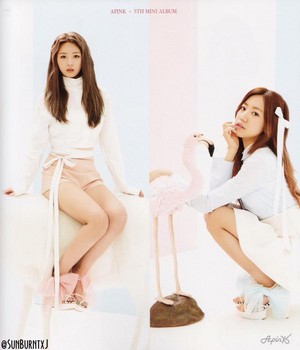 5th mini album - Pink Luv