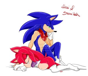  Akai's and Sonic's child