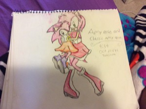 Amy rose and classic amy