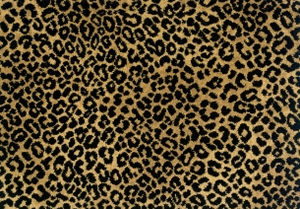  Cheetah Background/Wallpaper