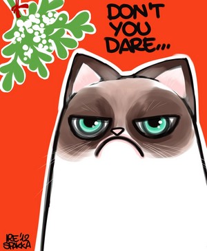  Don't 당신 Dare - Grumpy Cat