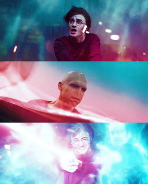 Harry and Lord Voldemort