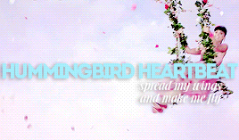  hummingbird Heartbeat