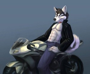 Husky Motorcycler