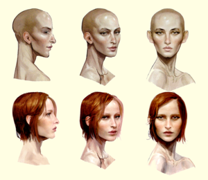  Leliana concept art in The Art of Dragon Age: Inquisition