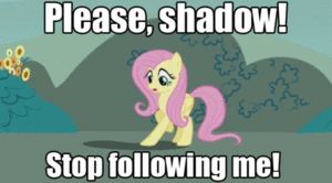 Please, Shadow!