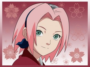  Sakura Flawer