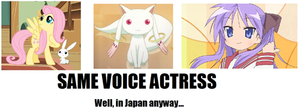  Same Voice Actress!
