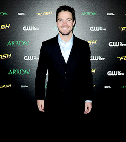  Stephen Amell and Emily Bett Rickards at The Flash vs. panah fan screening event.