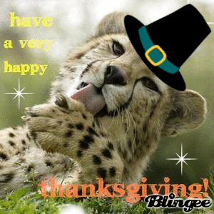  Thanksgiving Cheetah GIF
