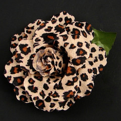  The Cheetah Rose