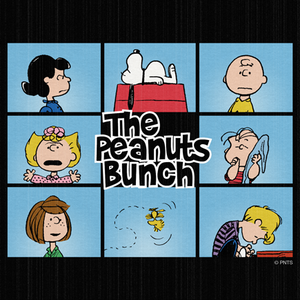 The Peanuts Bunch