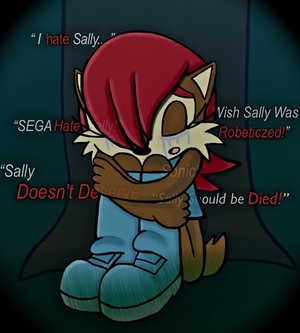 This is what you DID to Sally Acorn, Sally Acorn heters!